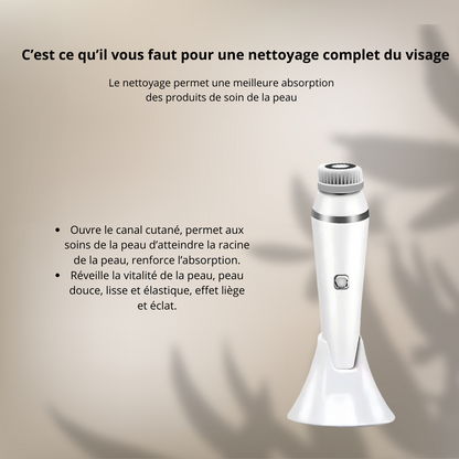 Kit de Nettoyage Visage Multifonction 4-en-1
